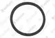 VAILLANT-Dichtung-VAR-260-360-4-u-w-Vaillant-Nr-981638 gallery number 1